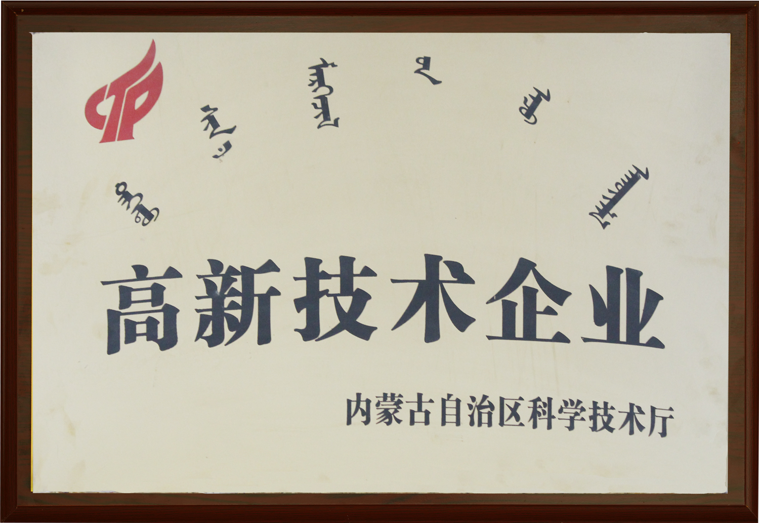 高新技術(shù)企業(yè)