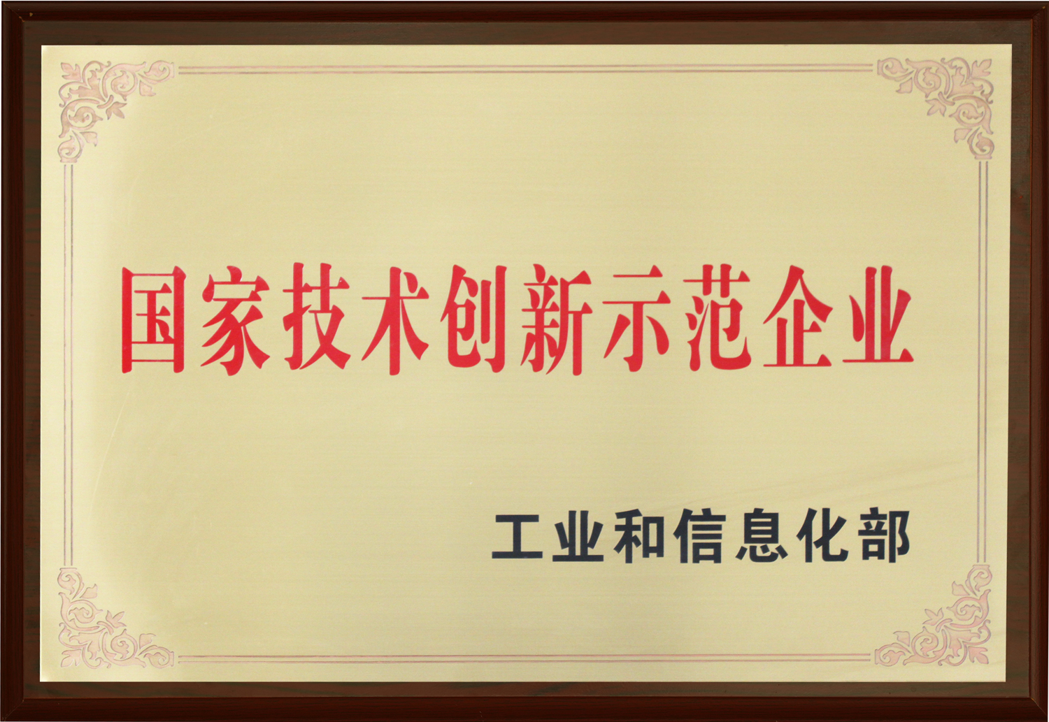 國(guó)家技術(shù)創(chuàng)新示范企業(yè)