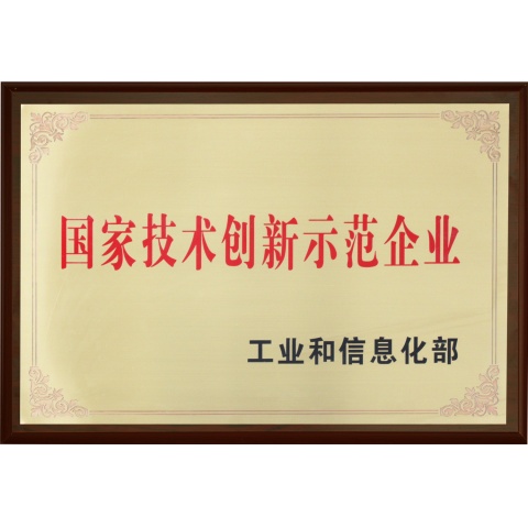 National Technological Innovation Demonstration Enterprise
